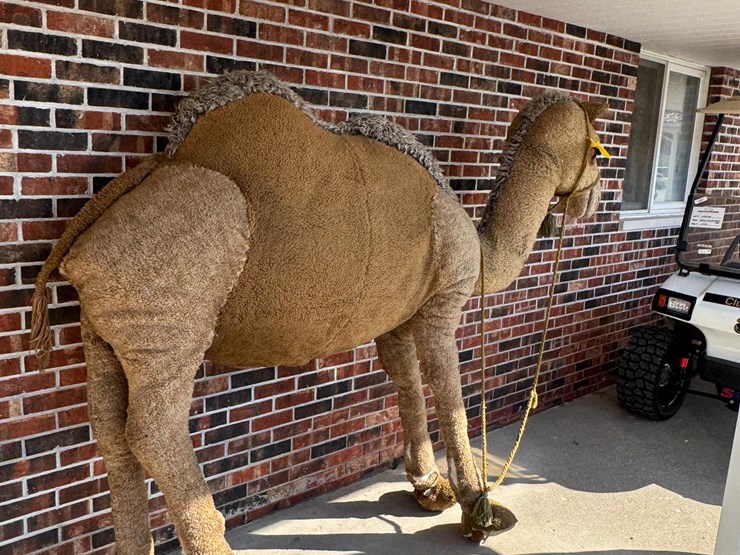 large-2-humped-stuffed-camel-image-2