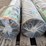5--rolls-landscape-fabric-6'x300'-image-8