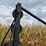 pan-scraper-image-16