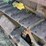 caterpillar-ten-high-clear-image-38