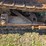 caterpillar-ten-image-25