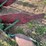 oliver-two-bottom-plow-image-15