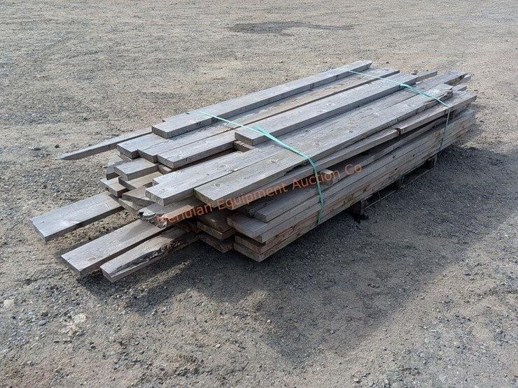 misc-hemlock-lot---various-lengths/sizes-image-3