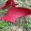 oliver-no.-21-2-way-plow-image-17