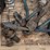 freight-truck-lot---see-description-image-3
