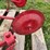 david-bradley-cultivator-image-11