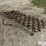 4’-x-8’-drag-harrow-image-1