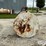 500-gal-fuel-barrel-image-6