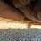 #3006-•-2021-chevy-1500-rst-pickup-truck-image-34