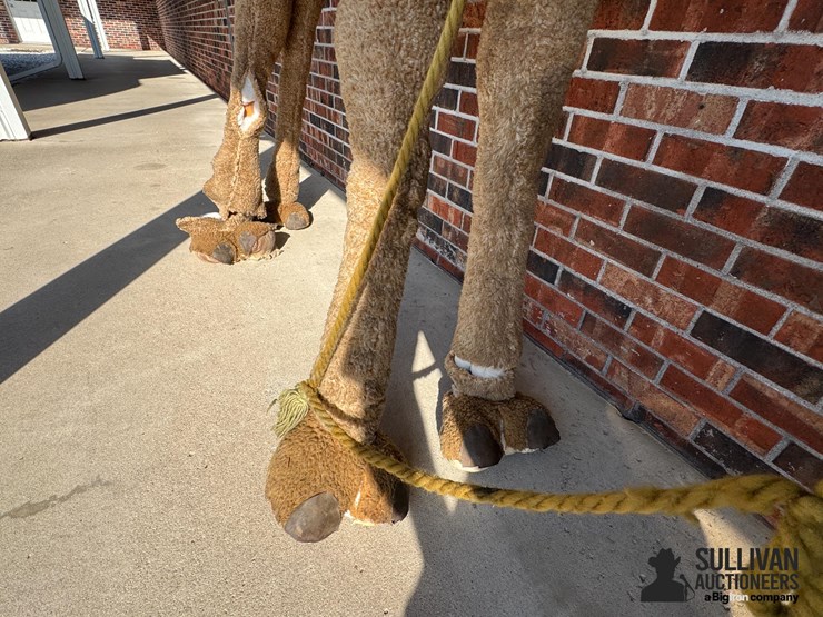 large-2-humped-stuffed-camel-image-6