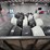 2022-load-trail-image-9