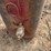 farmall-fuel-tank-image-8