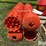 drain-inlets,-grain-aerators/dryers-&-auger-points-image-9