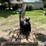 industrial-free-standing-&-squirrel-cage-fans-image-4