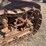 caterpillar-thirty-image-8