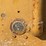 caterpillar-fifteen-image-25