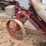 international-one-row-corn-picker-image-12