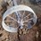 cart-axle-image-2
