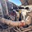 #17-•-2009-ford-f-750-super-duty-crew-cab-utility-truck-image-9