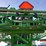 2014-john-deere-r4030-4x4-high-clearance-self-propelled-sprayer-image-70