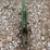 oliver-single-shank-ripper-image-17