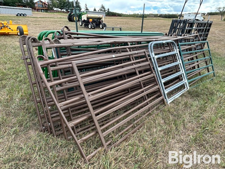 livestock-gates-image-7