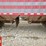 2024-doepker-grain-super-b-bulk-trailer-image-24