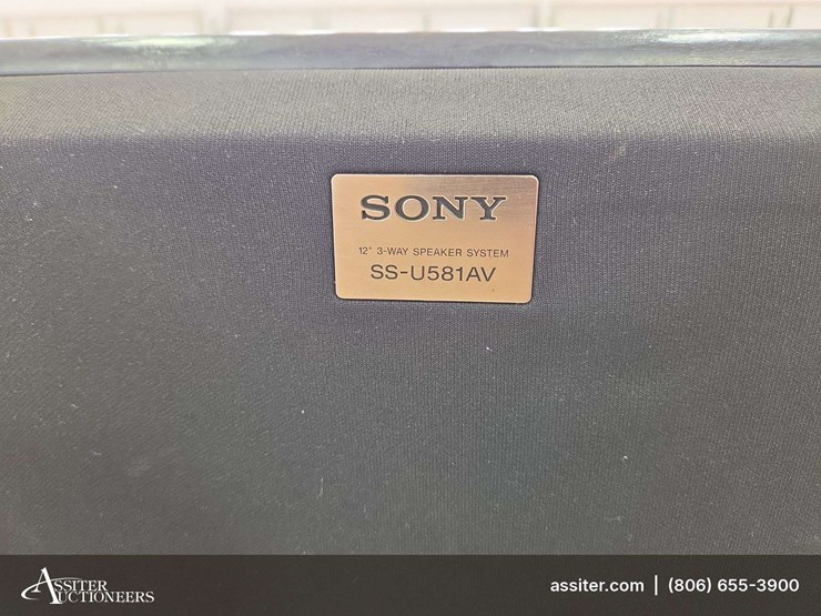 (2)-blown-sony-ss-u581av-speakers-image-5