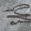 #67-•-11ft-chain-w/one-hook-image-1