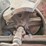 meadowns-mill-image-5