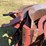 case-ih-88-series-combine-wheat-concaves-image-17