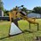 soil-max-gold-digger-pro-tile-plow-w/intellislope-gradient-setup-image-5