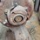 hobart-electric-motor-image-7