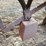 milford-band-saw-image-8