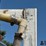 1,300-gal-stainless-steel-t/a-nurse-tank-image-10