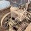 coln-ehrenfield-engine-image-10