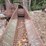 sileage-blower-image-5