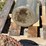 visible-pump-cylinder-image-7