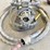 dztec-model-2.4oz-concrete-vibrator-image-3