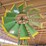 replica-windmill-image-6