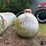 1970-master-tank-&-welding-500-gal-propane-tank-image-4