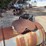 new-idea-transplanter-image-17