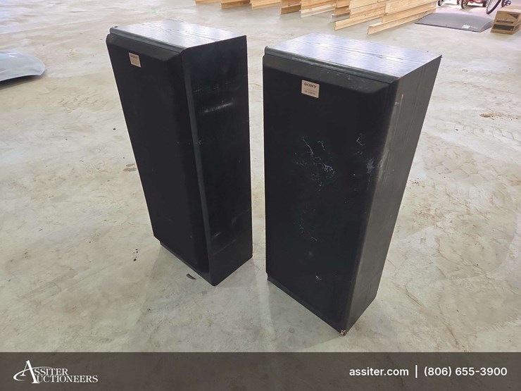 (2)-blown-sony-ss-u581av-speakers-image-4