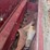 international-10’-grain-drill-image-11