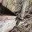 lineshaft-image-6