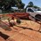 #184-•-kuhn-ga4220-th-masterdrive-rotary-rake-image-6
