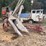 international-one-row-corn-picker-image-6