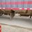 2024-doepker-grain-super-b-bulk-trailer-image-28