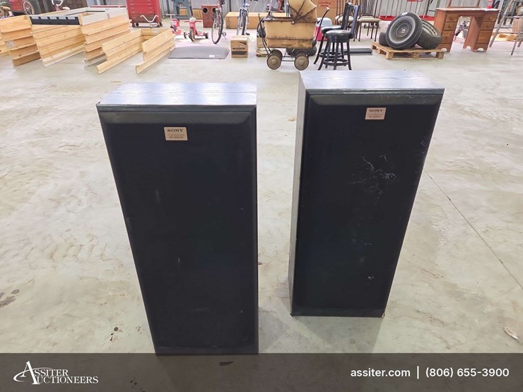 (2)-blown-sony-ss-u581av-speakers-image-1