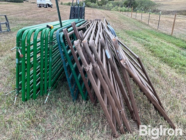 livestock-gates-image-8
